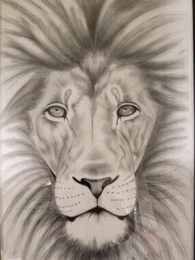 Meet your Posher! N1K10